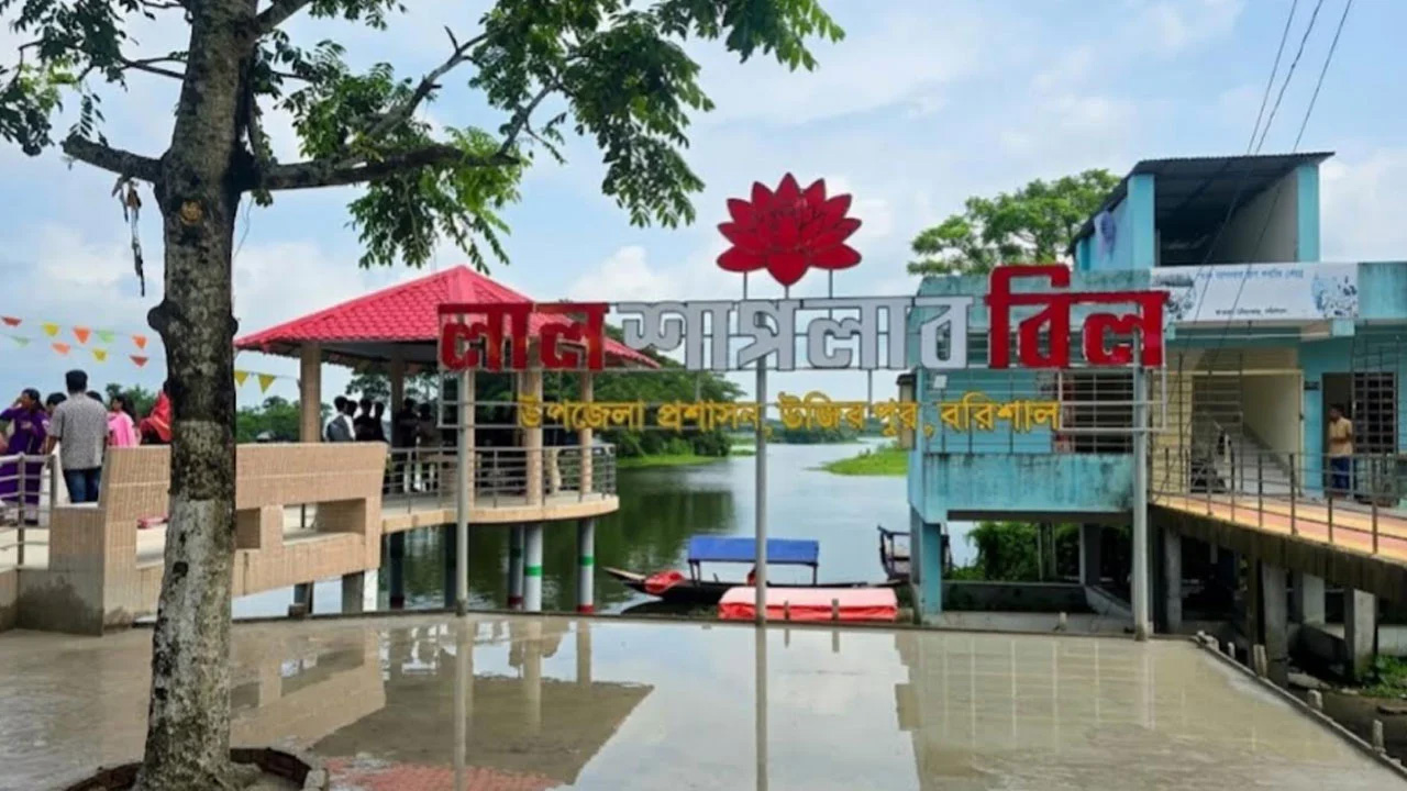 ছবি: সংগৃহীত